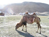 benno61 > Kashgar photo