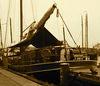 benno61 > IMG_5153.JPG copy