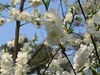 benno61 > China Favorites >  IMG_0042