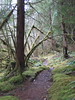 benno61 > Sol Duc >  IMG_6667