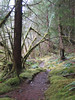 benno61 > Sol Duc >  IMG_6668