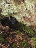 benno61 > Sol Duc >  IMG_6676