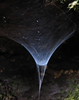 benno61 > Sol Duc >  IMG_6678