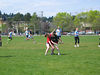 benno61 > Frisbee >  IMG_6834