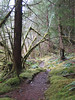 benno61 > Sol Duc Hot Springs, Olympic Peninsula, WA