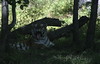 benno61 > Bronx Zoo >  IMG_7582
