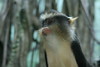benno61 > Bronx Zoo >  IMG_7609