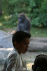benno61 > Bronx Zoo >  IMG_7617