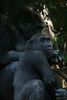 benno61 > Bronx Zoo >  IMG_7707