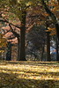 benno61 > Turkey Day Extra-vaganza photo