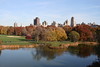 benno61 > Turkey Day Extra-vaganza photo